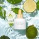 Сыворотка с витамином С для сияния кожи Needly Vita C Glow Toning Ampoule 30 ml 2982145164 фото 4
