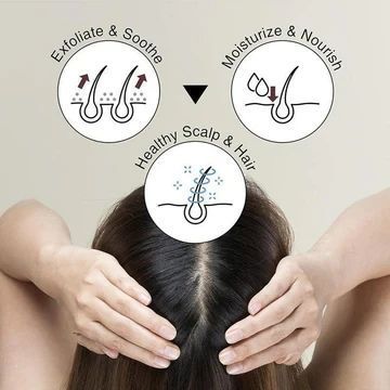 Тонік для шкіри голови проти випадіння волосся Derma Factory Anti Hair Loss Scalp Tonic 100 мл 2862383789 фото