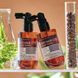 Тонік для шкіри голови проти випадіння волосся Derma Factory Anti Hair Loss Scalp Tonic 100 мл 2862383789 фото 4